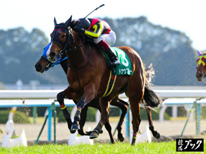 2012年１月京都牝馬Ｓ（Ｇ３）
