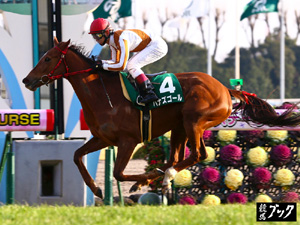 2013年1月京都牝馬（Ｇ３）