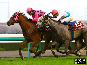 2013年4月阪神牝馬Ｓ（Ｇ２）
