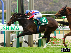 2013年4月福島牝馬S（Ｇ３）
