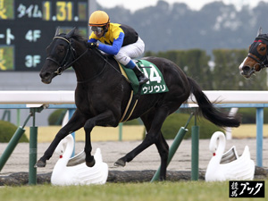 2014年1月京都牝馬ステークス（Ｇ３）