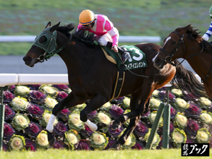2015年1月京都牝馬S （Ｇ３）