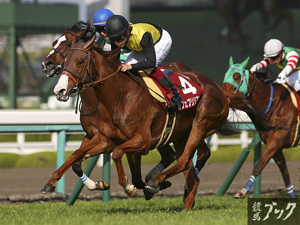 2015年４月阪神牝馬Ｓ（Ｇ２）