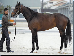 競馬ブックコーナー